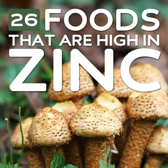 26 foods high in zinc