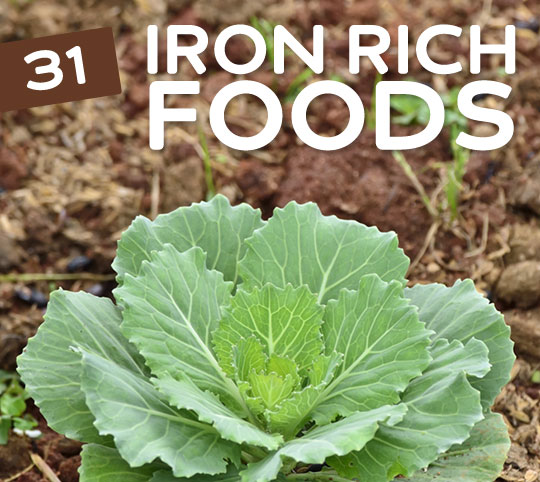 iron rich foods