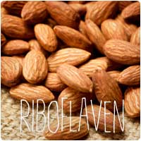 riboflavin