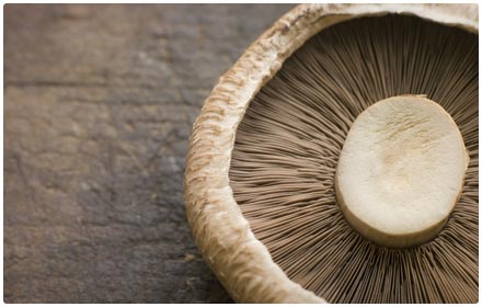 portobello mushrooms