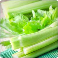 celery