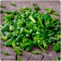 chives