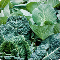 collard greens