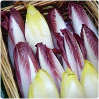 endive