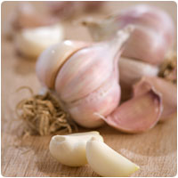 garlic