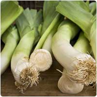 leeks