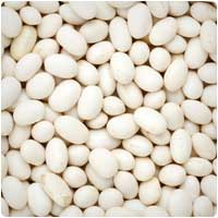 navy beans