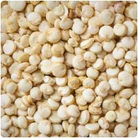 quinoa