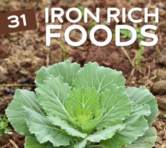 Great list of iron rich foods for vegetarians, vegans and anyone who wants to get more iron in their diet without eating a big steak.