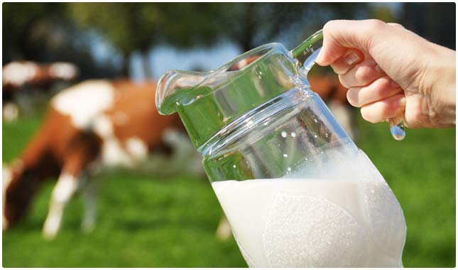 whole milk is rich in vitamin d