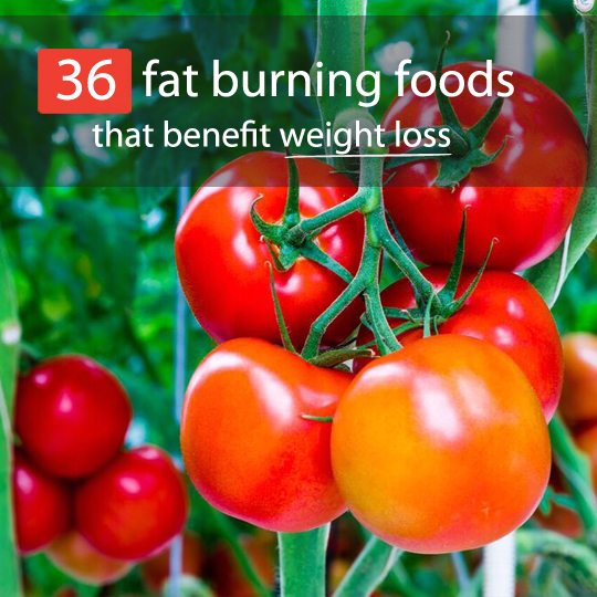 fat burning foods feature