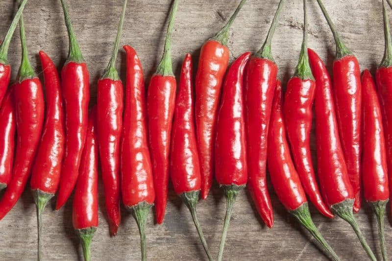 hot peppers