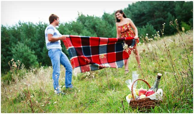 picnic