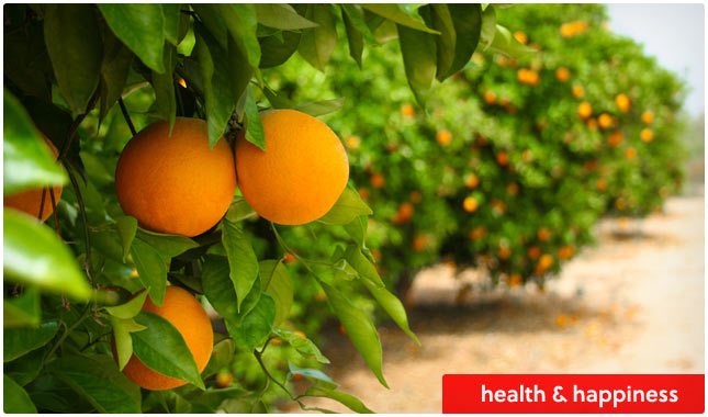 vitamin c health benefits