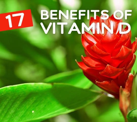 17 Benefits of Vitamin D- for your health & wellness.