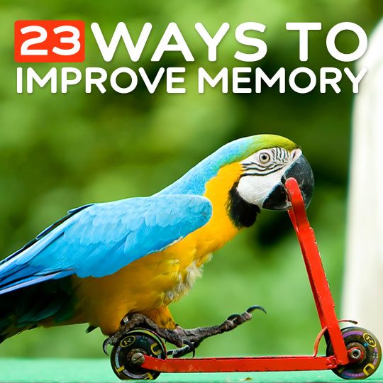 23 Ways to Improve Your Memory- and sharpen your brain.