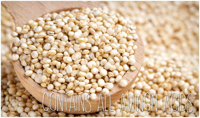 quinoa amino acids