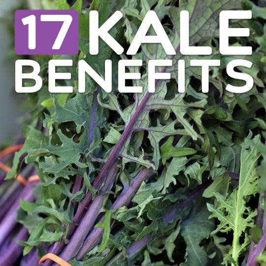 17 Benefits of Eating Kale- it's green, mean, and packed with nutrients. If you are not eating kale already, here are the reasons why you should be...