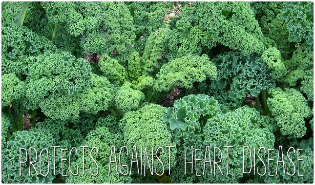 kale heart benefits