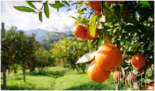 oranges for heart health