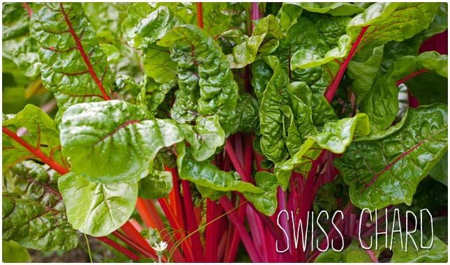 swiss chard