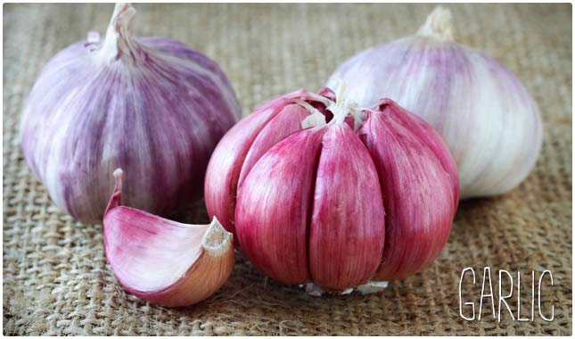 garlic