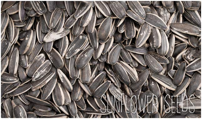 sunflower seeds