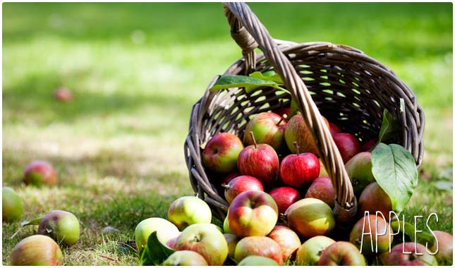 anti aging benefits of apples