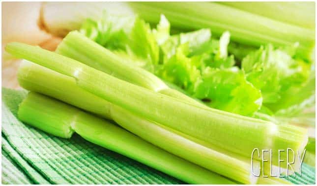 celery