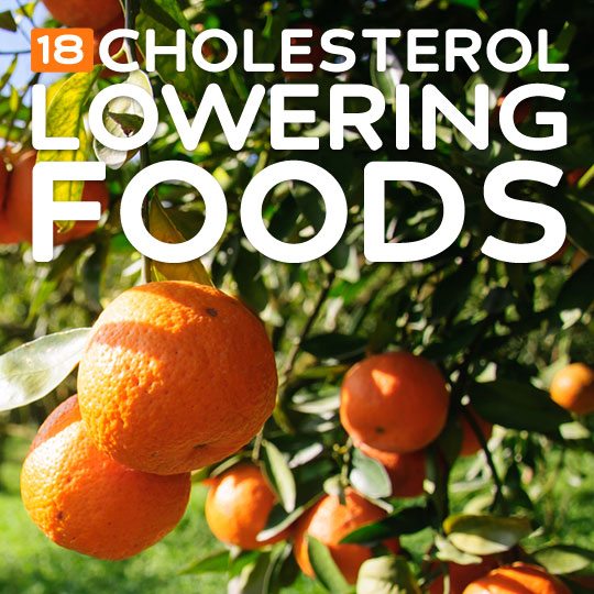 18 Cholesterol-Lowering Foods- for a healthy heart.
