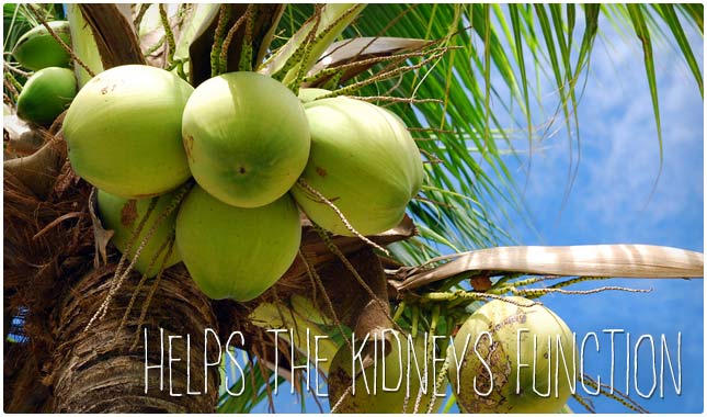 coconut water benefits for kidneys