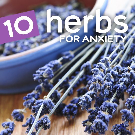 10 Natural Herbs for Anxiety and Stress