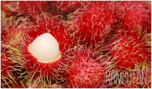 rambutan