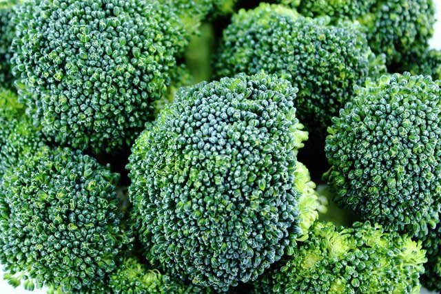 broccoli