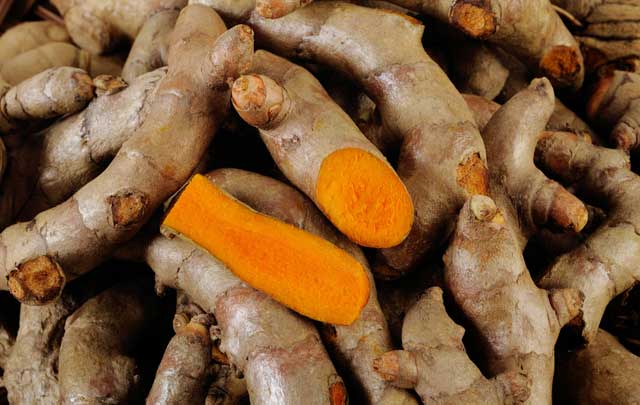 turmeric root