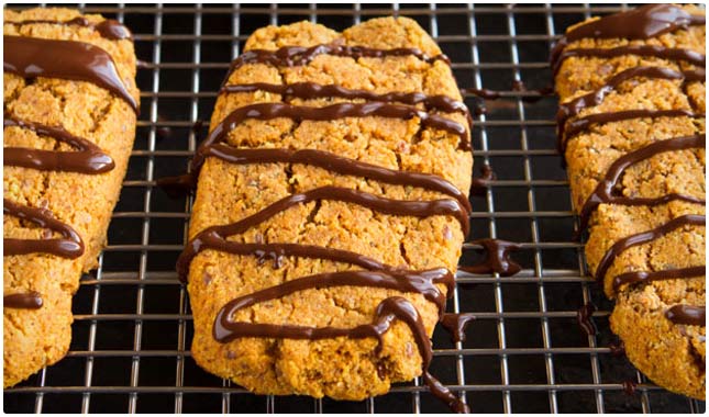 chocolate pumpkin protein bars