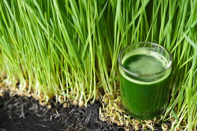 full body detox juice