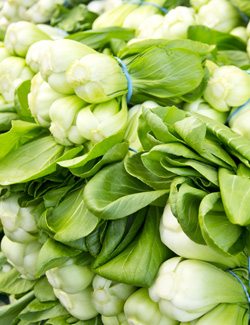 Bok Choy