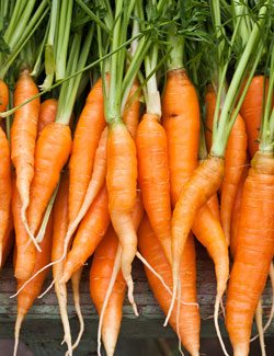 Carrots