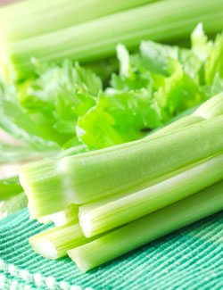 Celery