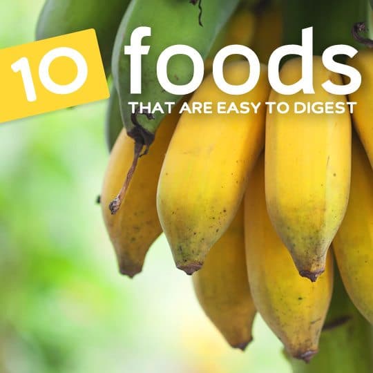 Give your digestive system a break and avoid stomach upset with these easily digestible foods…