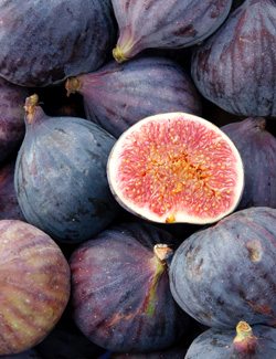 Figs