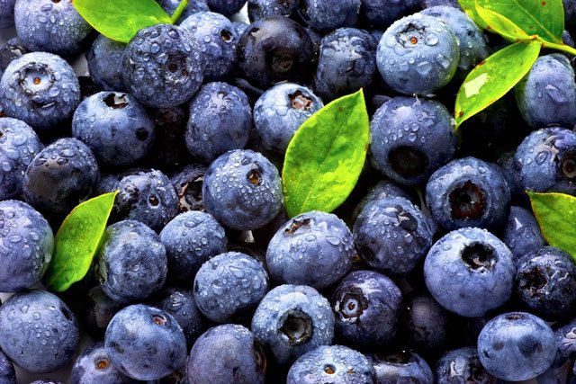 Blueberries