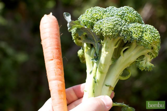 Broccoli and Carrots