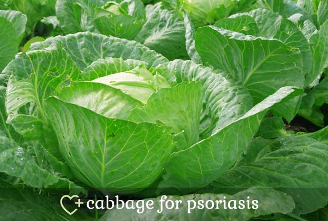 Cabbage for Psoriasis