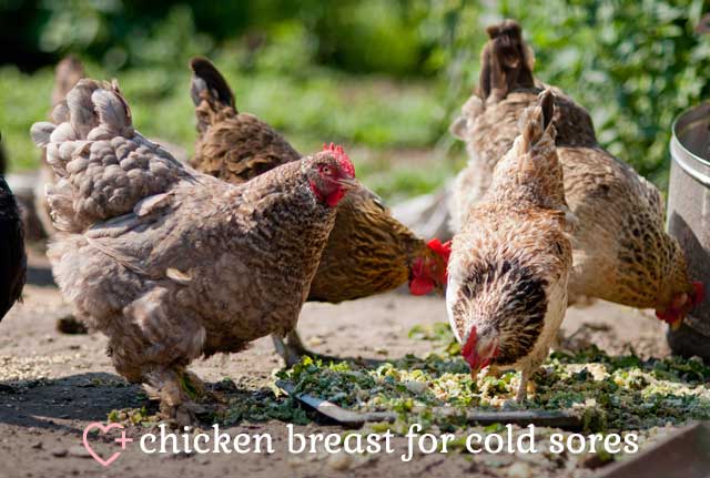 Chicken Breast for Cold Sores