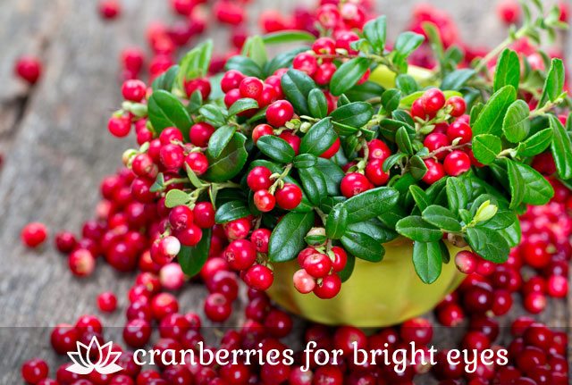 Cranberries- for bright eyes.