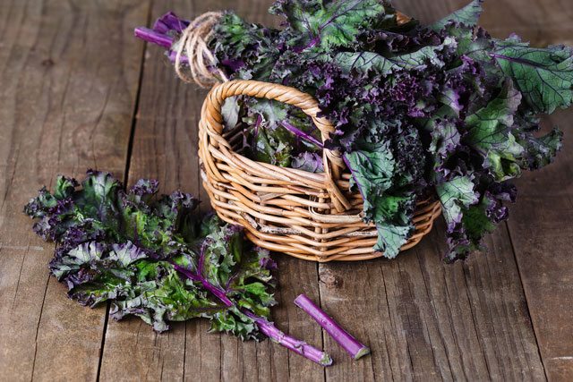 Diabetic-Friendly Kale