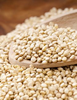 Fiber Rch Quinoa