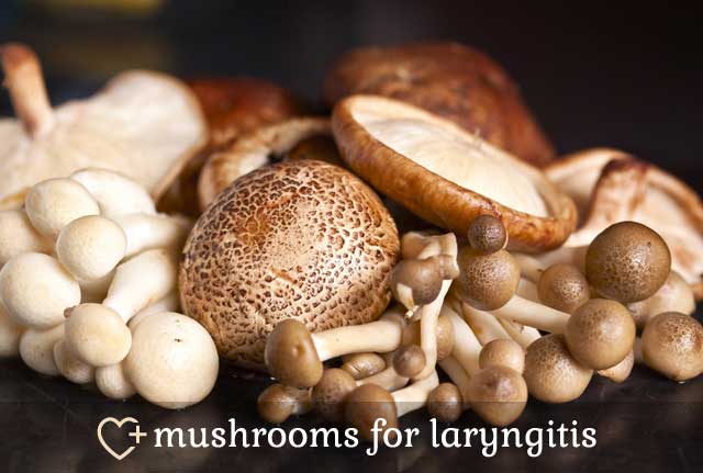 Mushrooms for Laryngitis